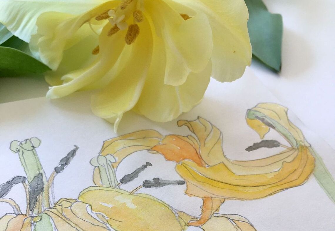 Malkurs: Gelbe Blume